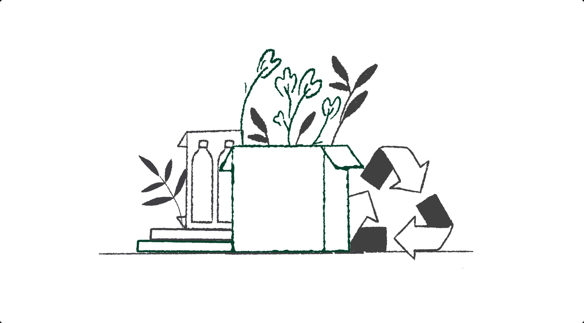 Sustainable packaging ideas